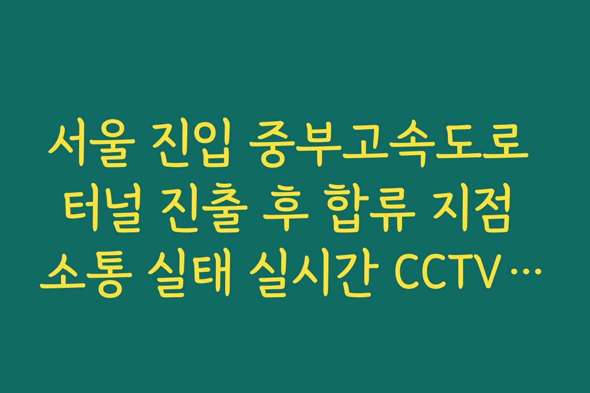서울 진입 중부고속도로 터널 진출 후 합류 지점 소통 실태 실시간 CCTV 확인 정보