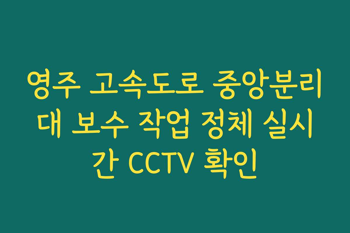 영주 고속도로 중앙분리대 보수 작업 정체 실시간 CCTV 확인
