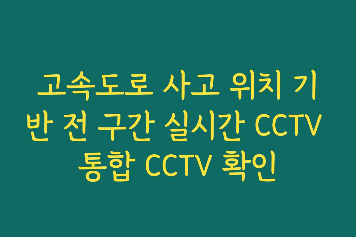 고속도로 사고 위치 기반 전 구간 실시간 CCTV 통합 CCTV 확인