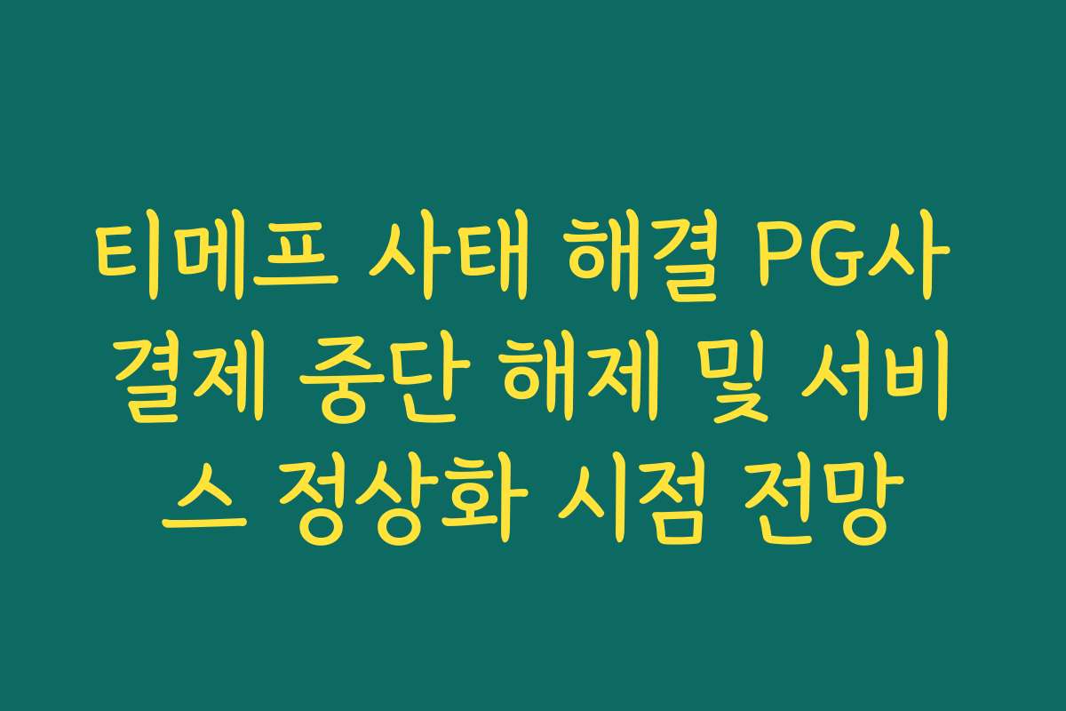 티메프 사태 해결 PG사 결제 중단 해제 및 서비스 정상화 시점 전망