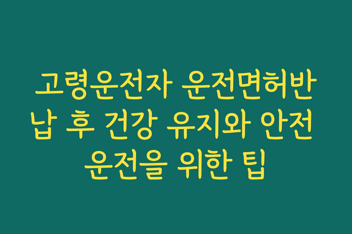 고령운전자 운전면허반납 후 건강 유지와 안전 운전을 위한 팁