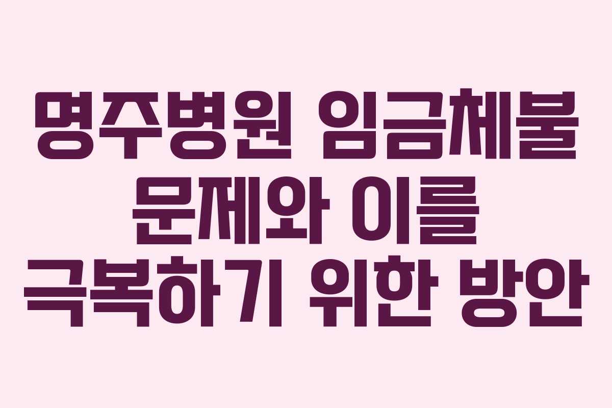 명주병원 임금체불 문제와 이를 극복하기 위한 방안