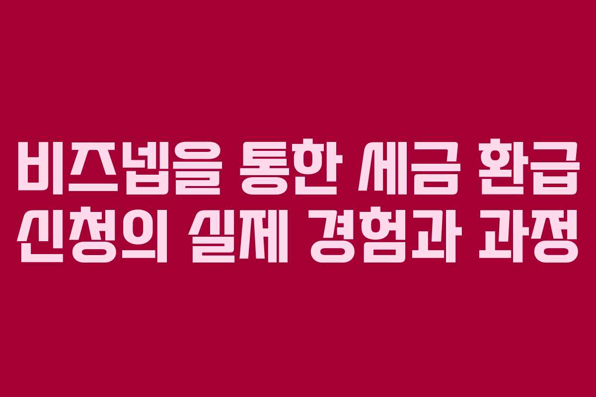 비즈넵을 통한 세금 환급 신청의 실제 경험과 과정