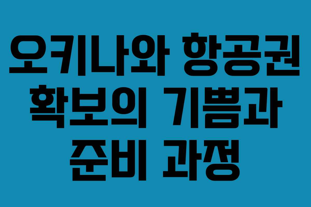 오키나와 항공권 확보의 기쁨과 준비 과정