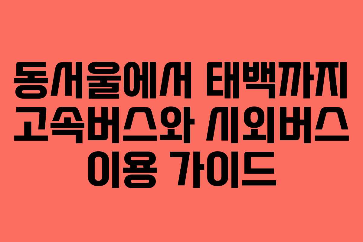 동서울에서 태백까지 고속버스와 시외버스 이용 가이드