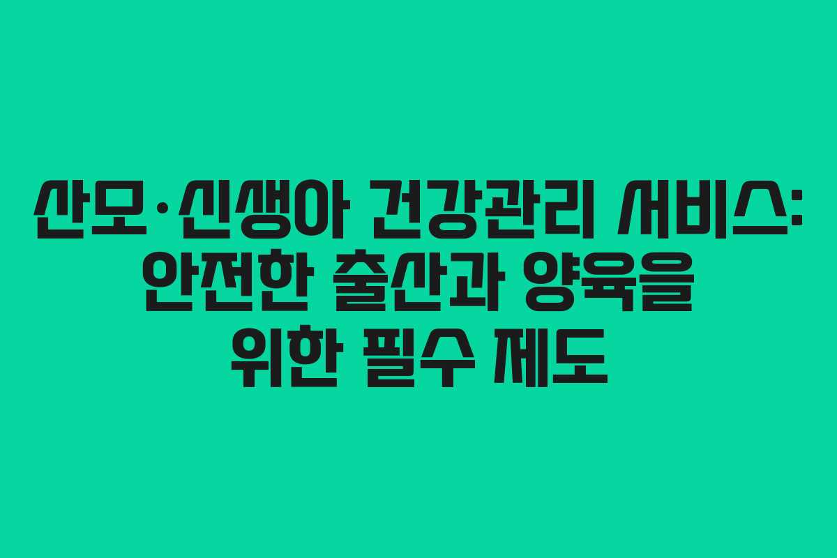산모·신생아 건강관리 서비스: 안전한 출산과 양육을 위한 필수 제도