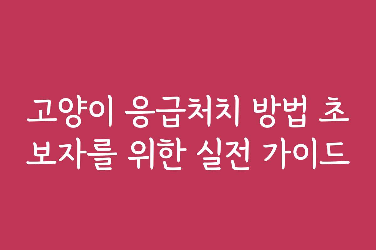 고양이 응급처치 방법 초보자를 위한 실전 가이드