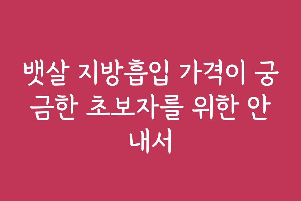 뱃살 지방흡입 가격이 궁금한 초보자를 위한 안내서