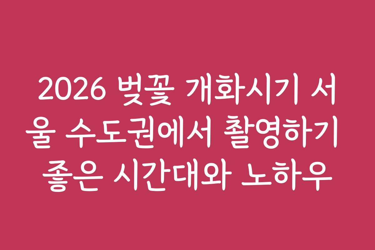 2026 벚꽃 개화시기 서울 수도권에서 촬영하기 좋은 시간대와 노하우