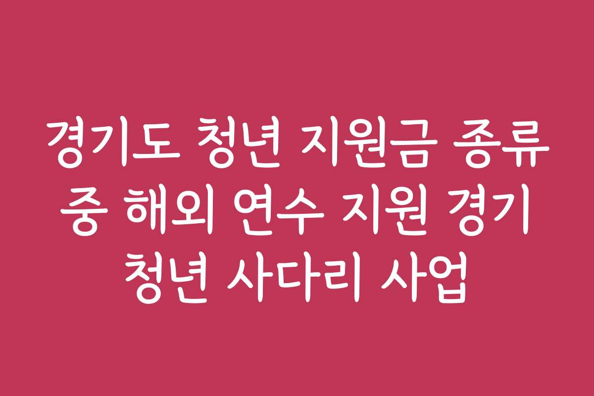 경기도 청년 지원금 종류 중 해외 연수 지원 경기 청년 사다리 사업