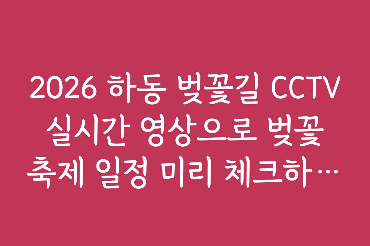 2026 하동 벚꽃길 CCTV 실시간 영상으로 벚꽃 축제 일정 미리 체크하는 법