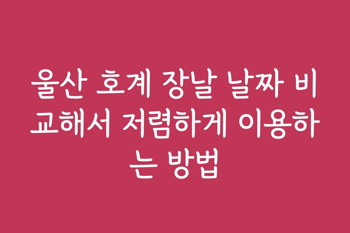 울산 호계 장날 날짜 비교해서 저렴하게 이용하는 방법