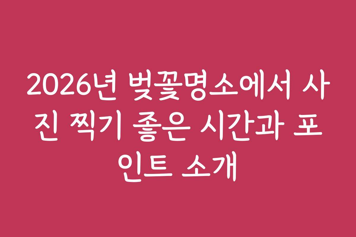 2026년 벚꽃명소에서 사진 찍기 좋은 시간과 포인트 소개