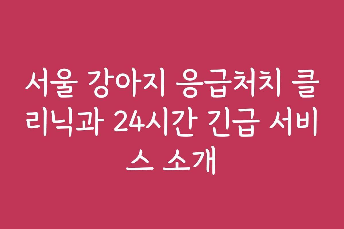 서울 강아지 응급처치 클리닉과 24시간 긴급 서비스 소개