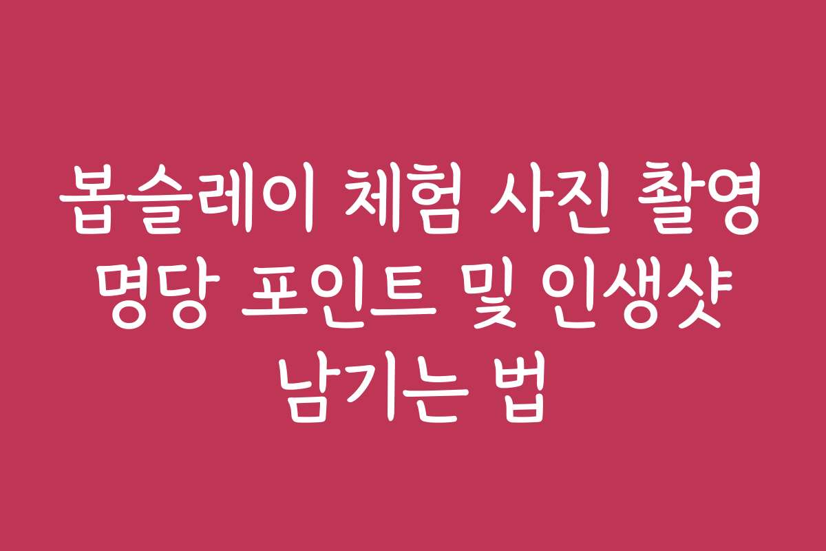 봅슬레이 체험 사진 촬영 명당 포인트 및 인생샷 남기는 법