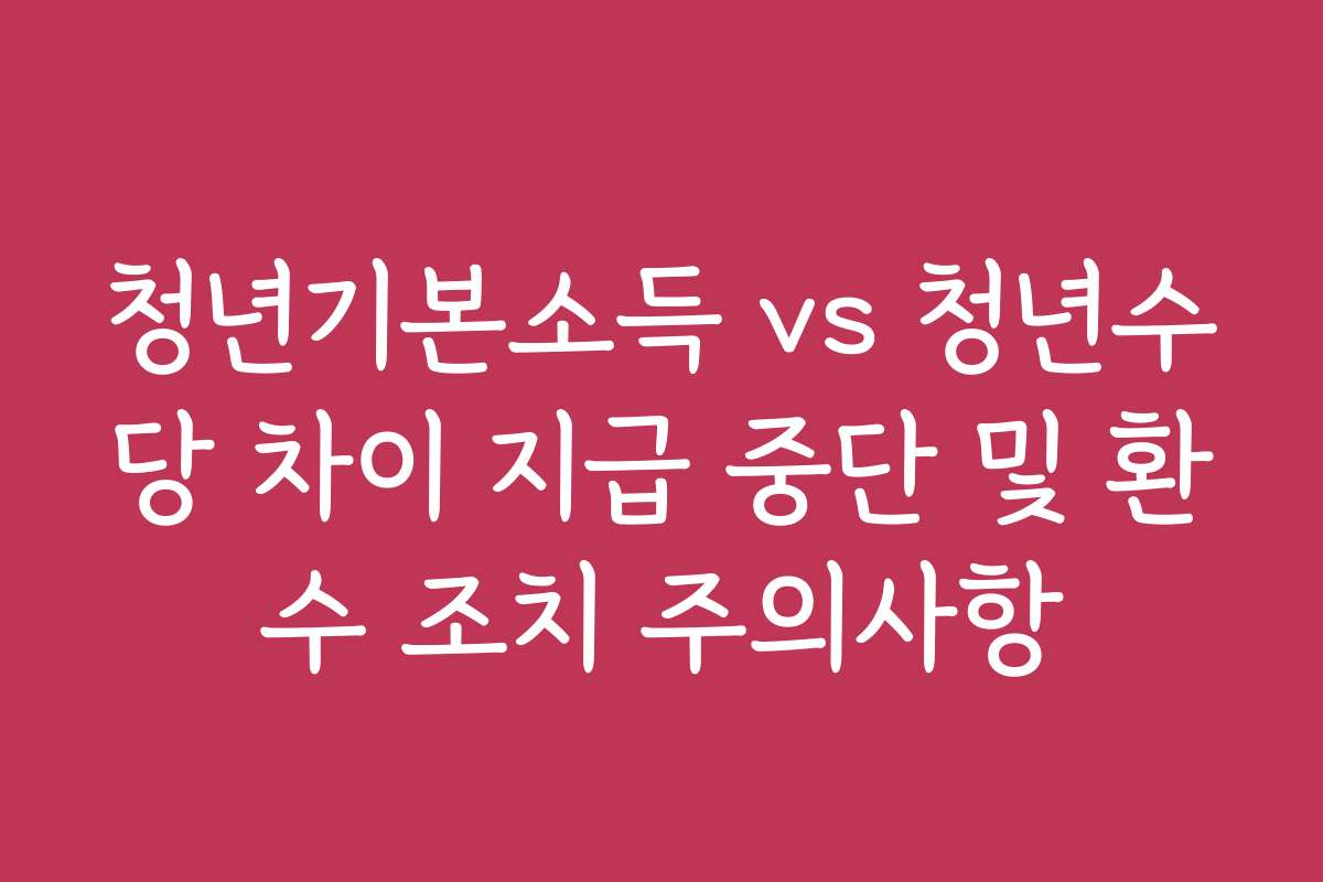 청년기본소득 vs 청년수당 차이 지급 중단 및 환수 조치 주의사항