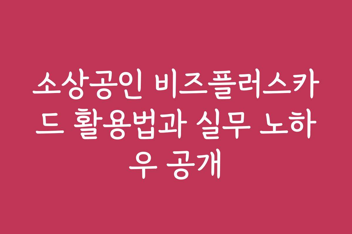 소상공인 비즈플러스카드 활용법과 실무 노하우 공개