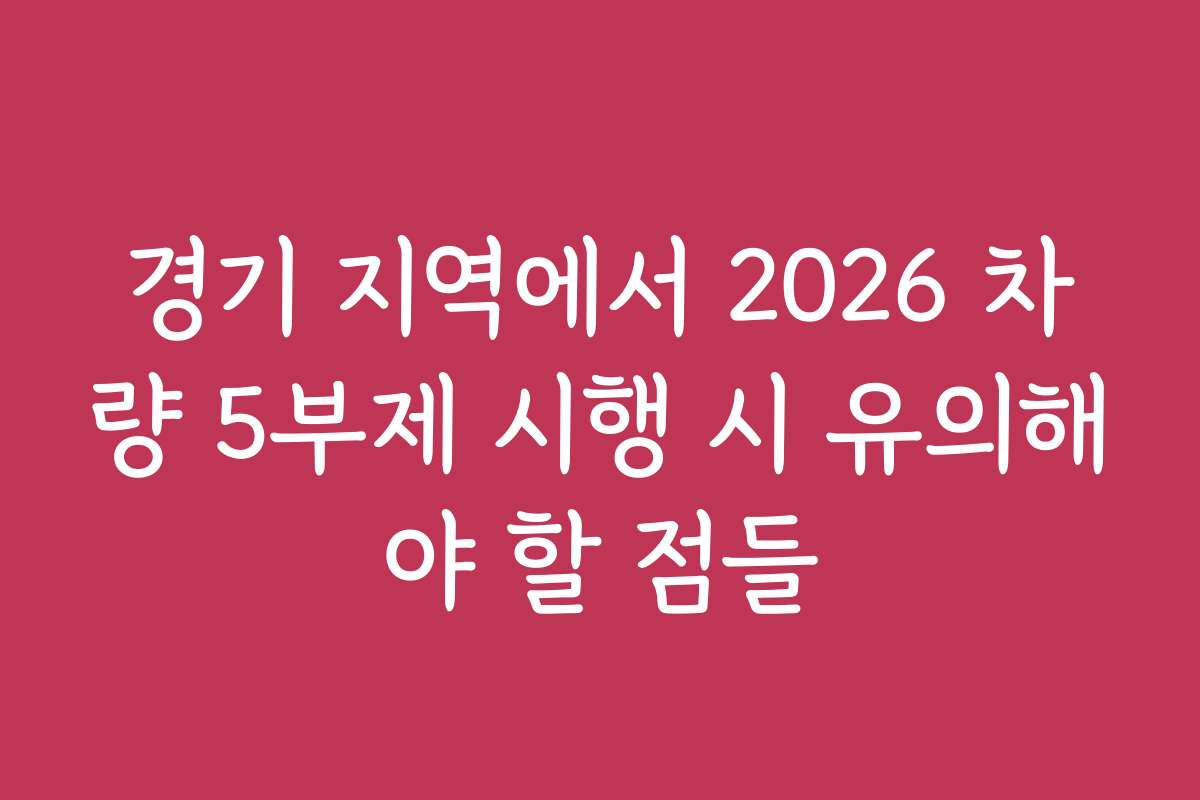 경기 지역에서 2026 차량 5부제 시행 시 유의해야 할 점들