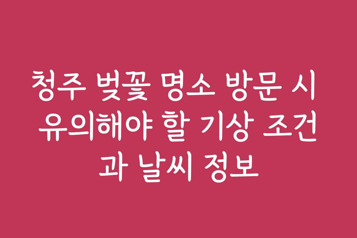 청주 벚꽃 명소 방문 시 유의해야 할 기상 조건과 날씨 정보