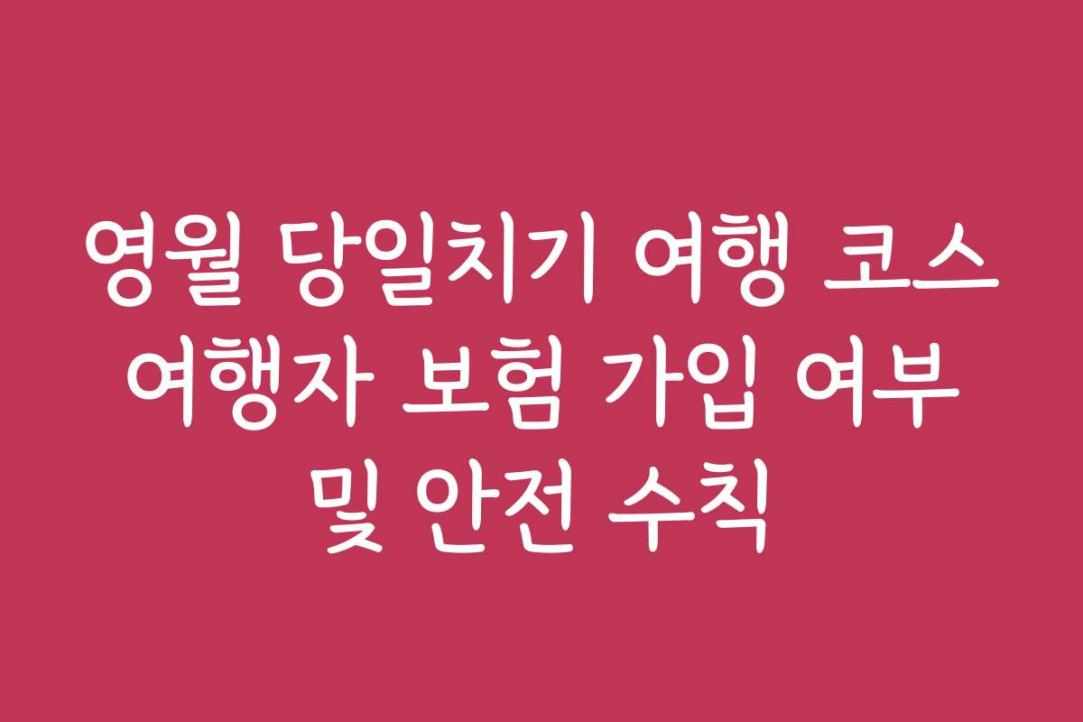 영월 당일치기 여행 코스 여행자 보험 가입 여부 및 안전 수칙