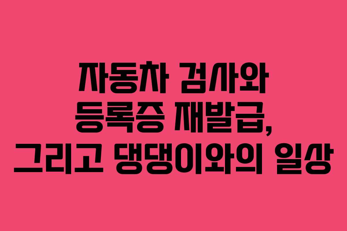 자동차 검사와 등록증 재발급, 그리고 댕댕이와의 일상 자동차 검사와 등록증 재발급, 그리고 댕댕이와의 일상