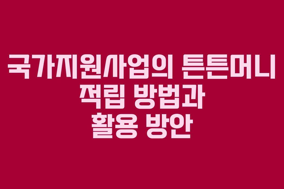 국가지원사업의 튼튼머니 적립 방법과 활용 방안 국가지원사업의 튼튼머니 적립 방법과 활용 방안