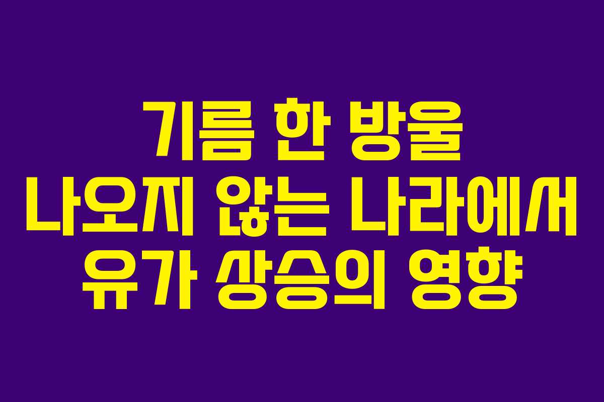 기름 한 방울 나오지 않는 나라에서 유가 상승의 영향