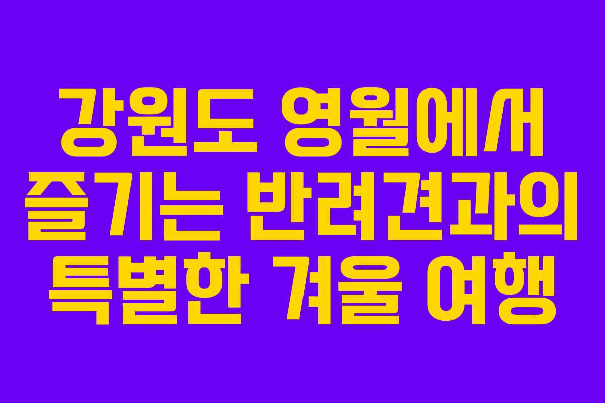 강원도 영월에서 즐기는 반려견과의 특별한 겨울 여행