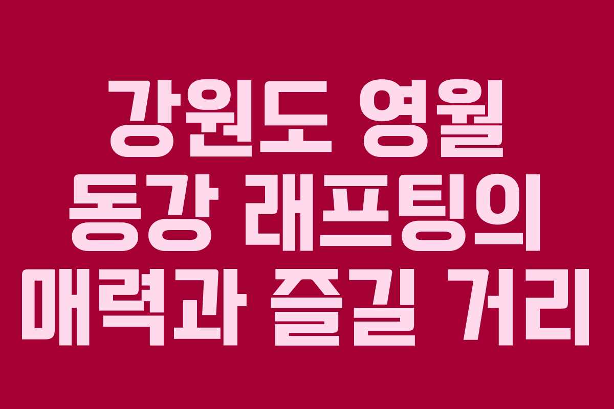 강원도 영월 동강 래프팅의 매력과 즐길 거리