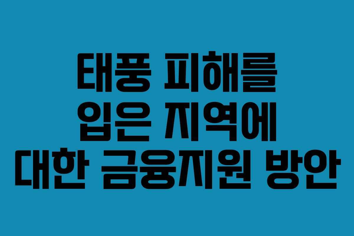 태풍 피해를 입은 지역에 대한 금융지원 방안