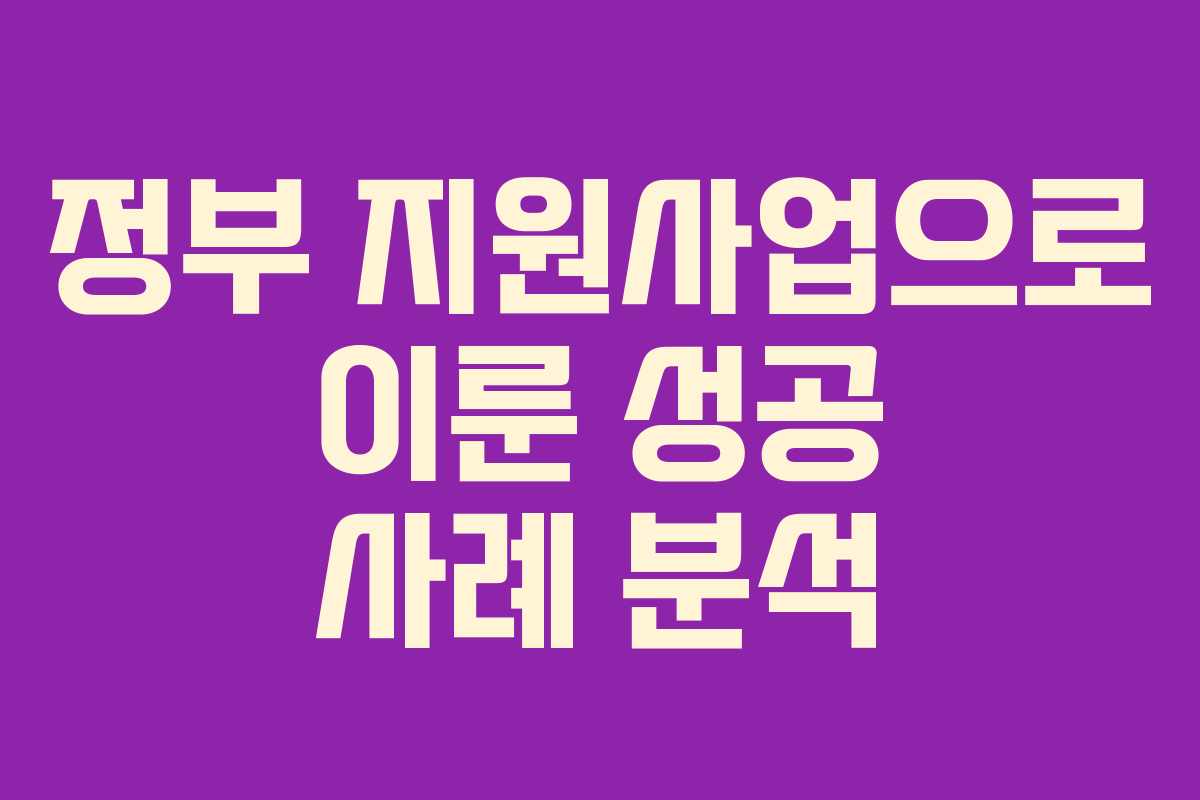 정부 지원사업으로 이룬 성공 사례 분석