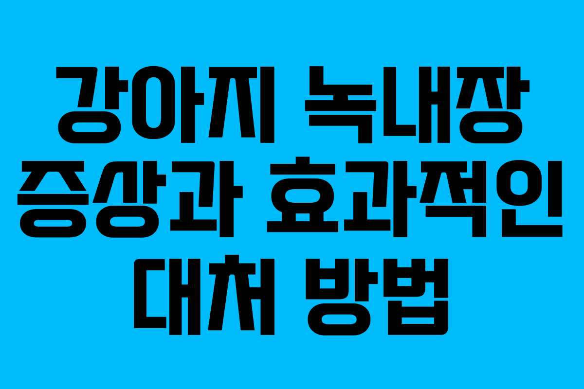 강아지 녹내장 증상과 효과적인 대처 방법