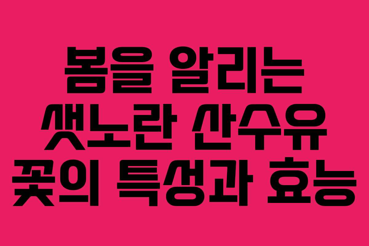 봄을 알리는 샛노란 산수유 꽃의 특성과 효능