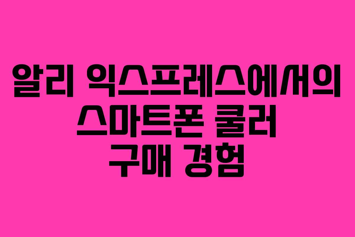 알리 익스프레스에서의 스마트폰 쿨러 구매 경험