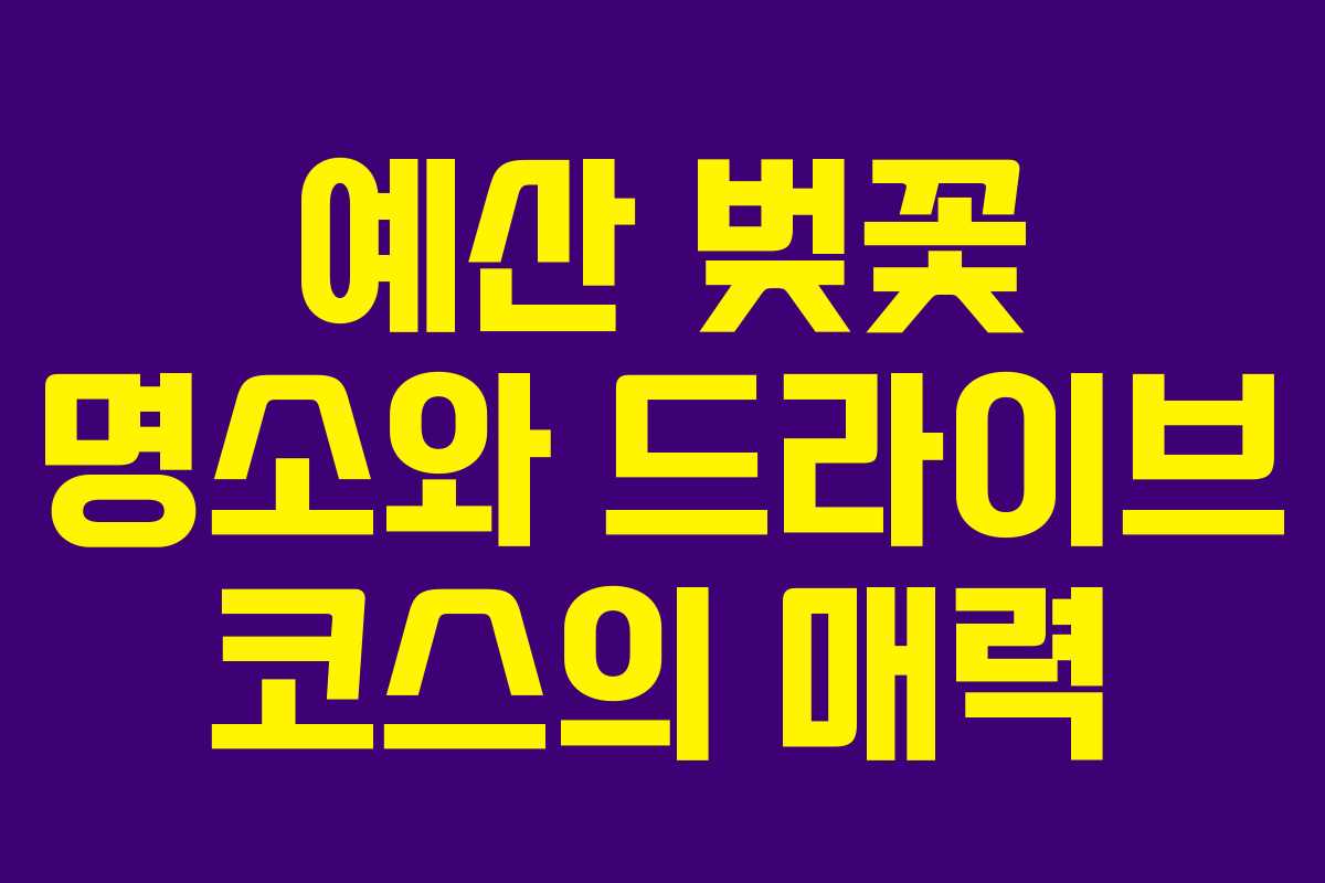 예산 벚꽃 명소와 드라이브 코스의 매력