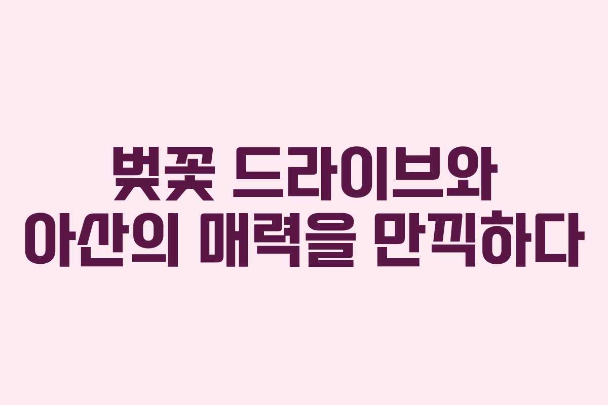 벚꽃 드라이브와 아산의 매력을 만끽하다