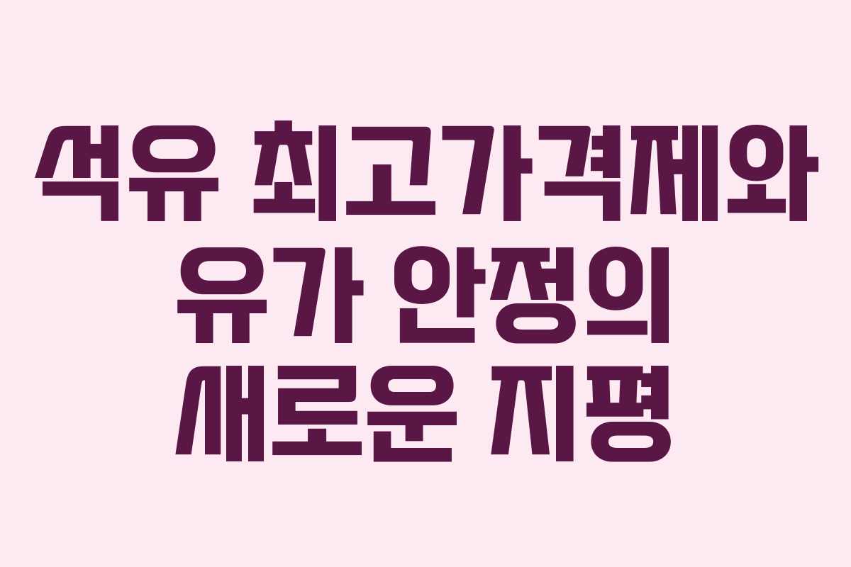 석유 최고가격제와 유가 안정의 새로운 지평 석유 최고가격제와 유가 안정의 새로운 지평