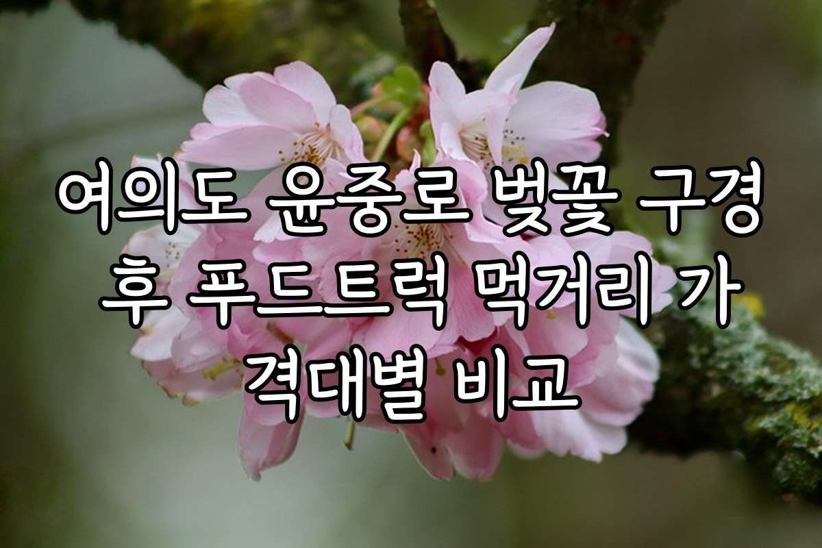 여의도 윤중로 벚꽃 구경 후 푸드트럭 먹거리 가격대별 비교