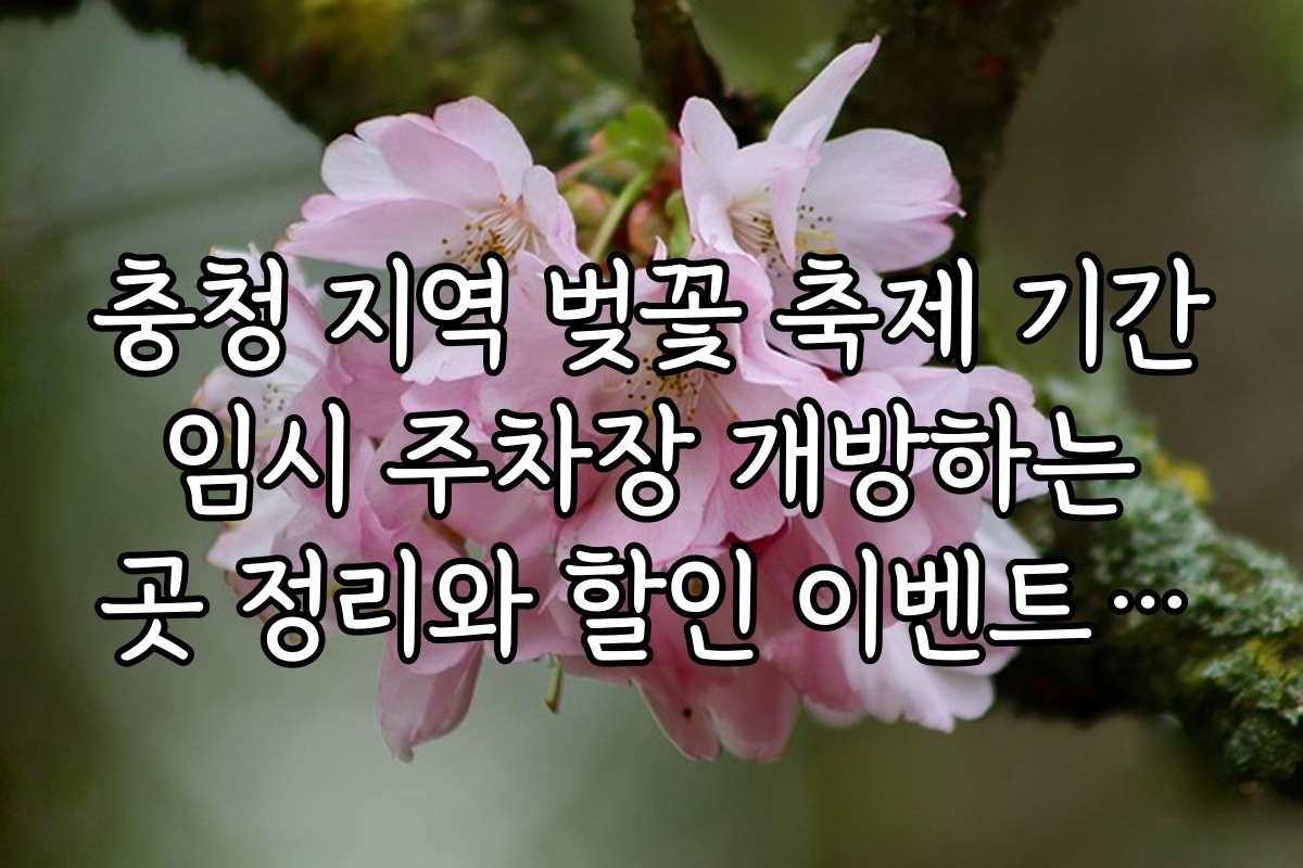 충청 지역 벚꽃 축제 기간 임시 주차장 개방하는 곳 정리와 할인 이벤트 소식