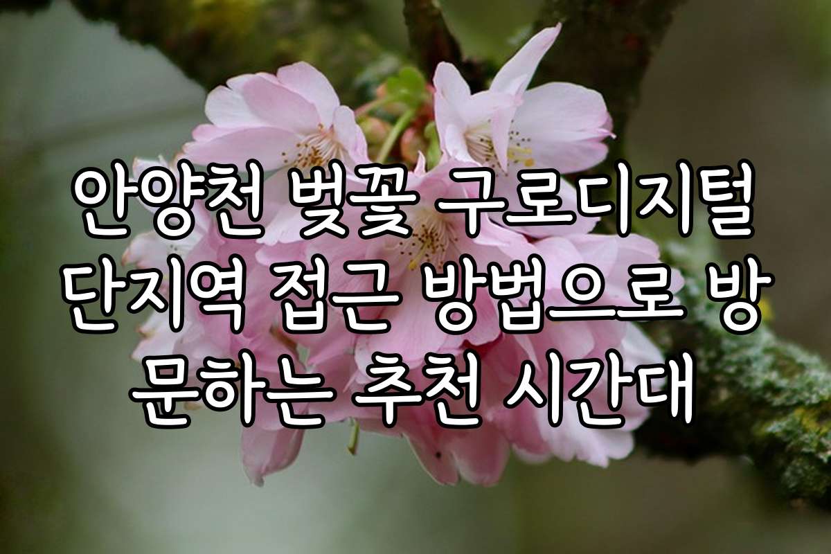 안양천 벚꽃 구로디지털단지역 접근 방법으로 방문하는 추천 시간대