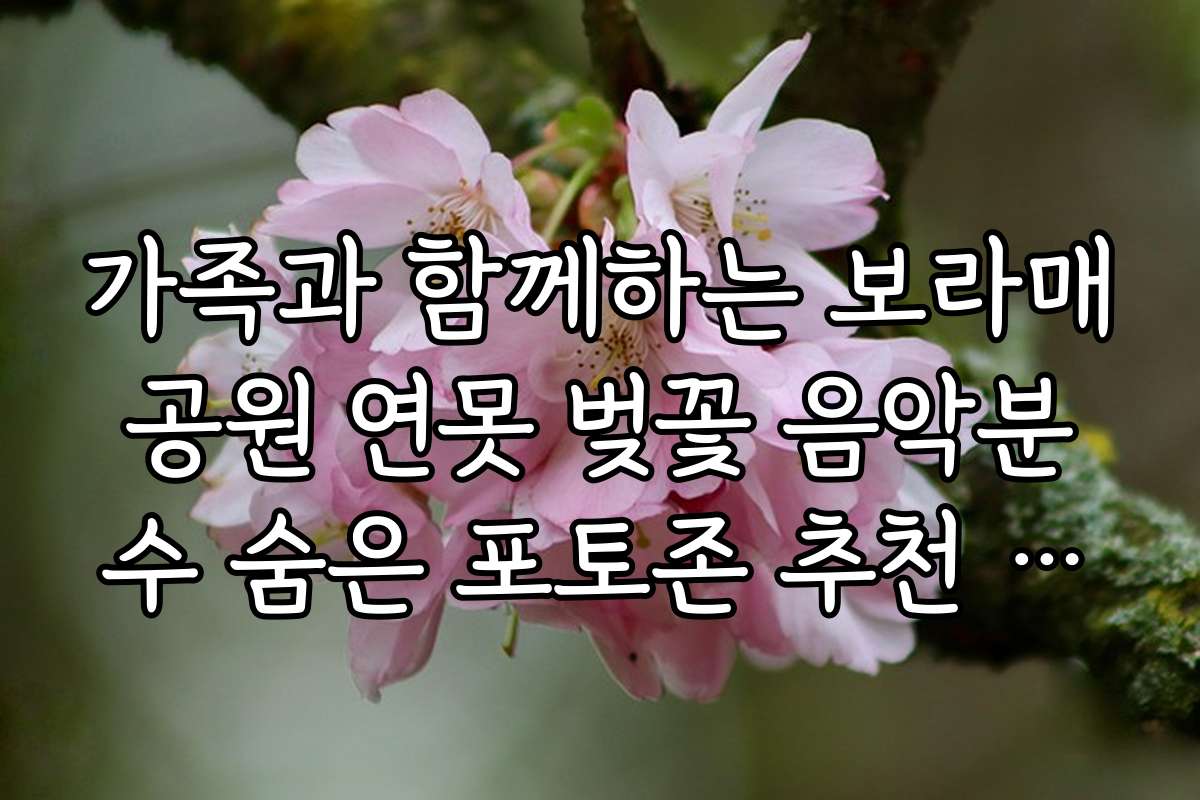 가족과 함께하는 보라매공원 연못 벚꽃 음악분수 숨은 포토존 추천 코스와 체험 후기