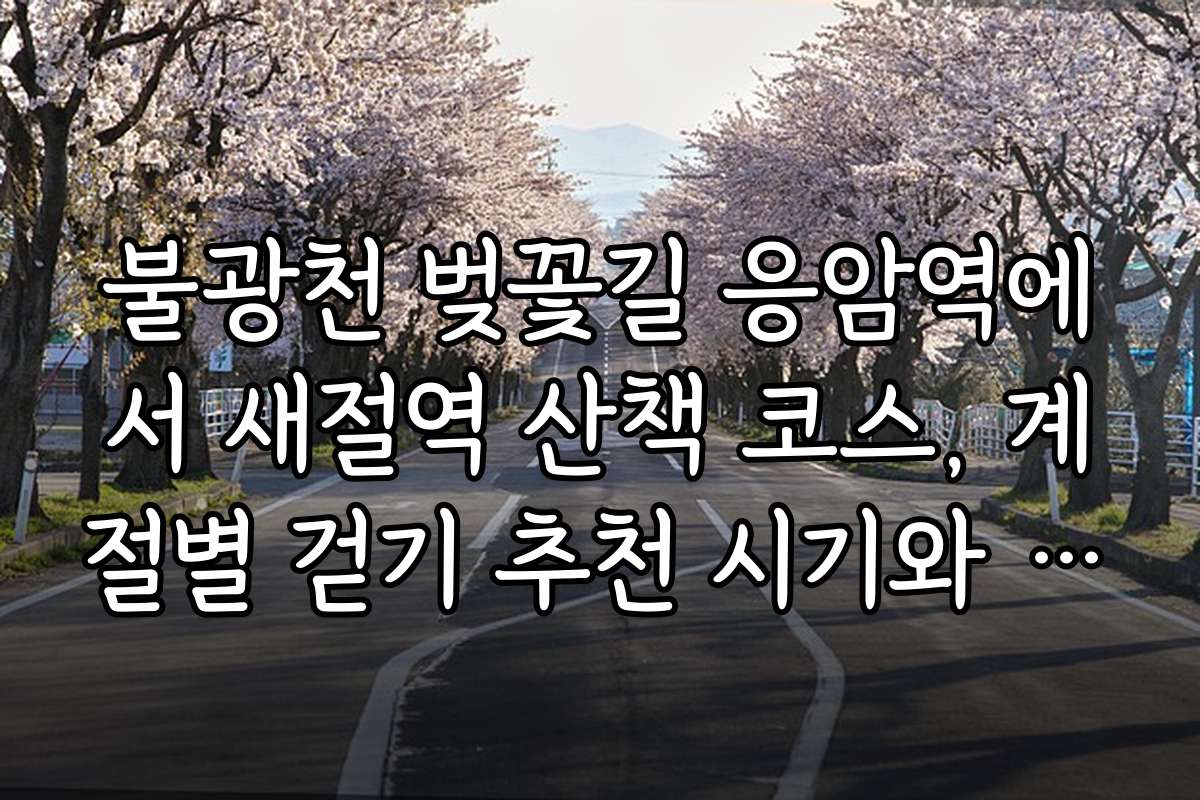 불광천 벚꽃길 응암역에서 새절역 산책 코스, 계절별 걷기 추천 시기와 최적 시간대