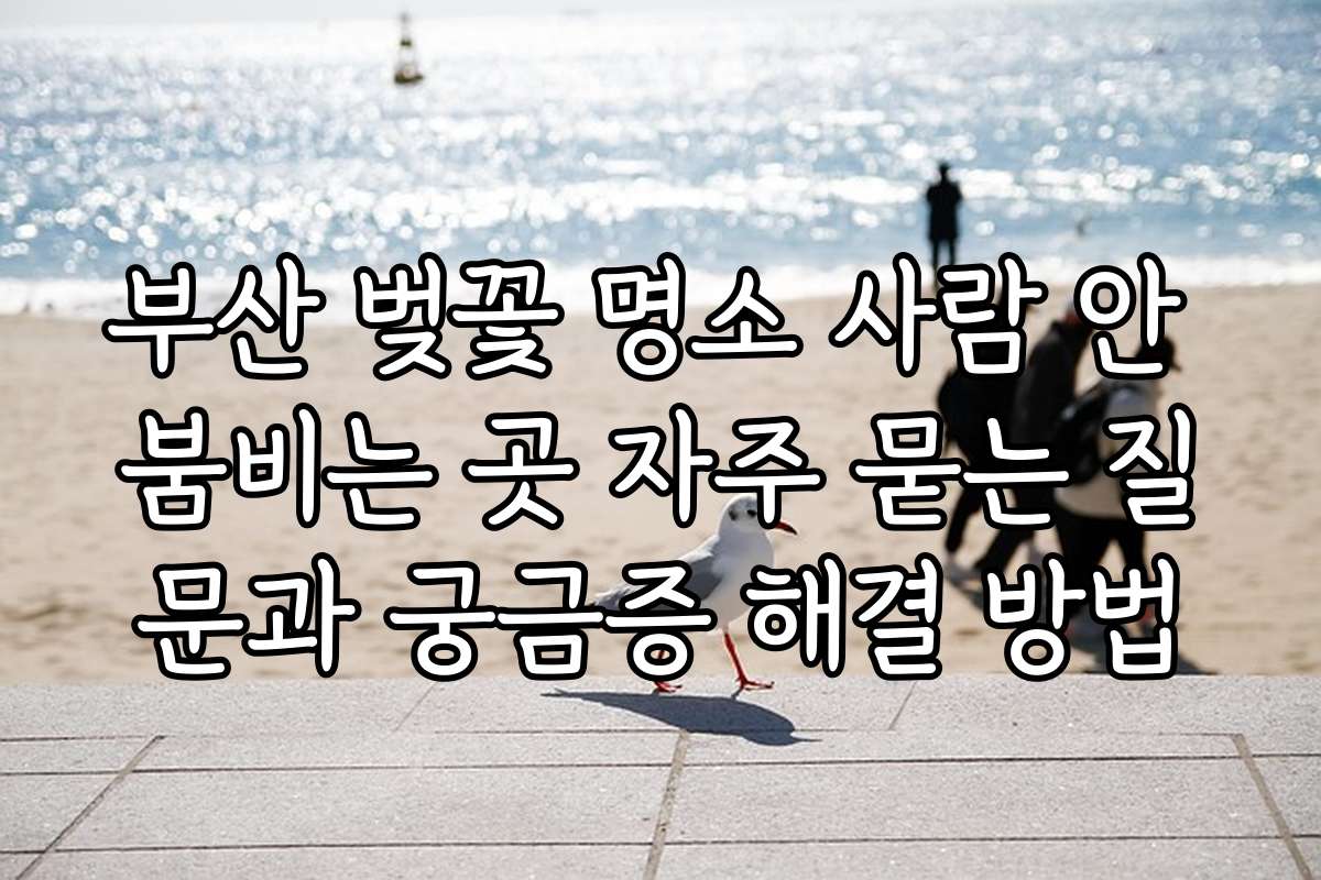 부산 벚꽃 명소 사람 안 붐비는 곳 자주 묻는 질문과 궁금증 해결 방법