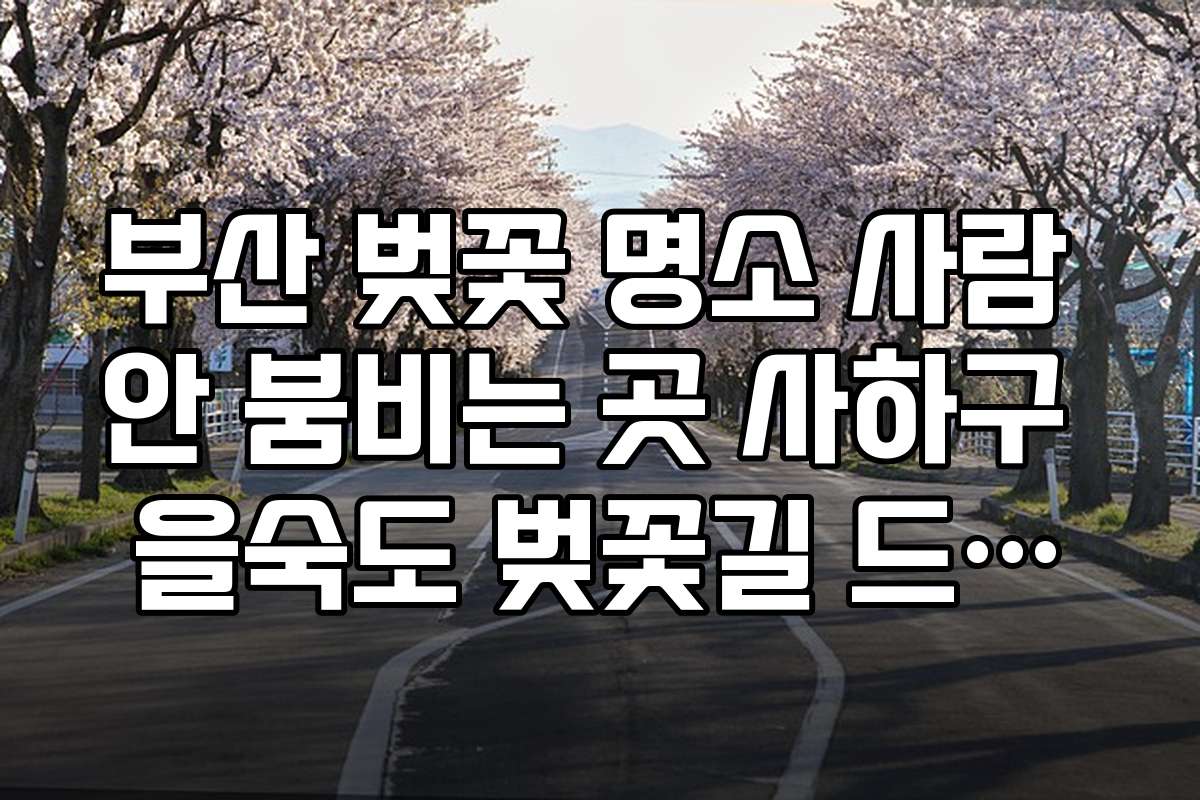 부산 벚꽃 명소 사람 안 붐비는 곳 사하구 을숙도 벚꽃길 드라이브