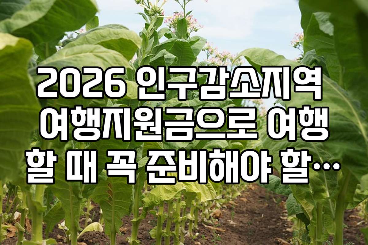 2026 인구감소지역 여행지원금으로 여행할 때 꼭 준비해야 할 체크리스트