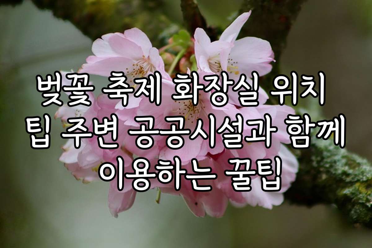 벚꽃 축제 화장실 위치 팁 주변 공공시설과 함께 이용하는 꿀팁