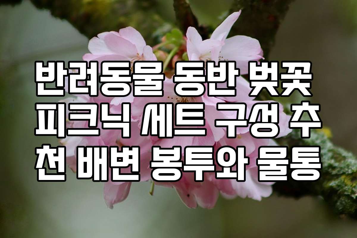 반려동물 동반 벚꽃 피크닉 세트 구성 추천 배변 봉투와 물통