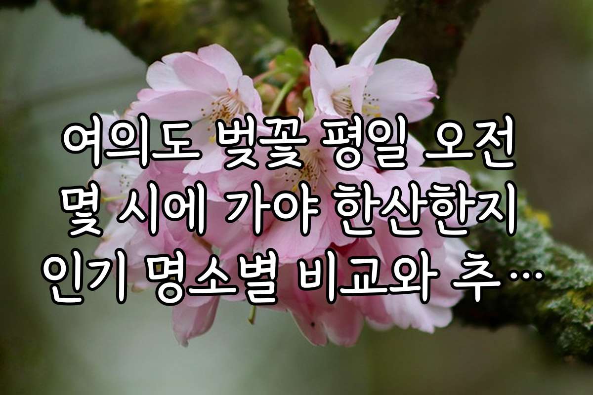 여의도 벚꽃 평일 오전 몇 시에 가야 한산한지 인기 명소별 비교와 추천 방법