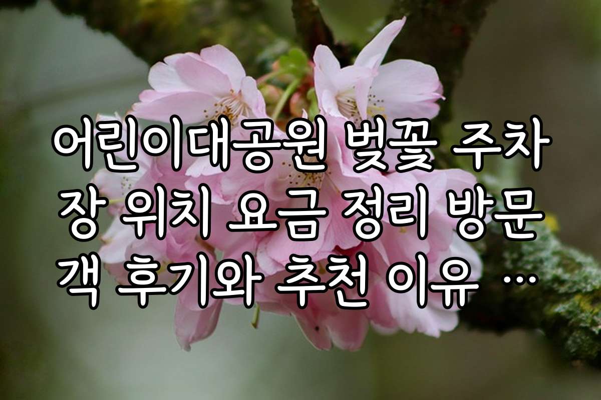 어린이대공원 벚꽃 주차장 위치 요금 정리 방문객 후기와 추천 이유 공개
