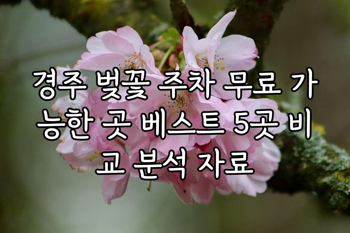 경주 벚꽃 주차 무료 가능한 곳 베스트 5곳 비교 분석 자료